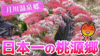 Tsukikawa Onsenkyo Hanatomo no Sato] The 