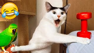 Funniest Animals 2024  New Funny Cats and Dogs Videos  Part 4