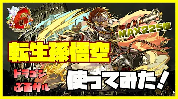 تحميل 孫悟空 パズドラ