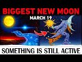 STOP Scrolling… The March 19 New Moon Portal Is STILL OPEN (This Changes Everything)