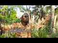 APEWE SIFA 🇬🇳 | Muriranja {Official Video} #kenyanmusic #KenyanReggae #music2024