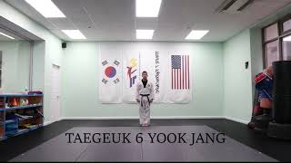 Taegeuk 6-jang (High Blue Belt)_(Mirror version)