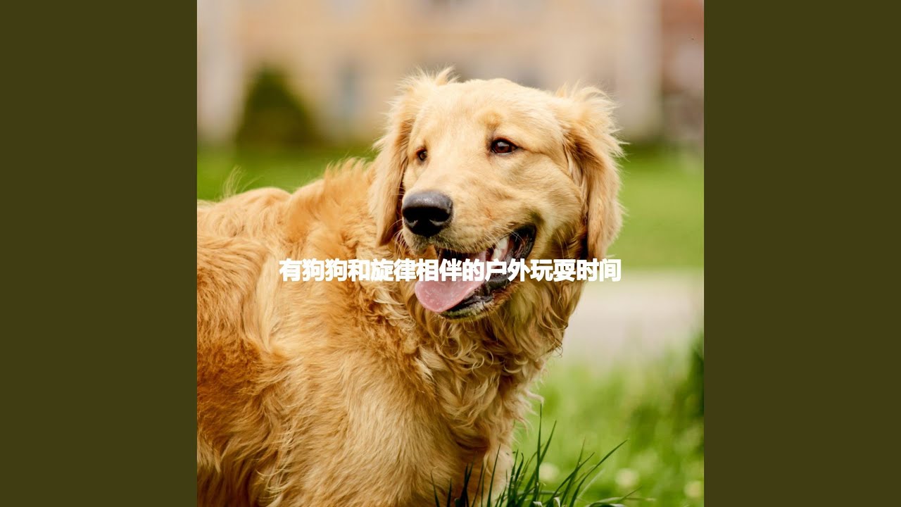 Serene Ambience for Visual Adventures