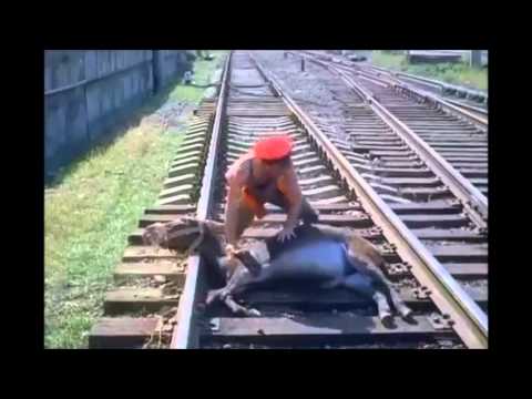 მიდიოდა მატარებელი - მეისრე