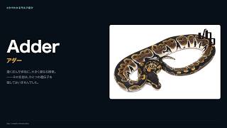[Ball Python] One Name, Two Genes: An Explanation of the Adder Morph