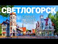 Светлогорск. Самый медленный город России. Калининградска область. Раушен. Светлогорск 2024.