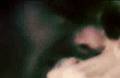 The National - Live (Part 1)