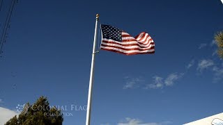 Flying the Flag on Veterans Day