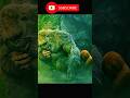 Kong vs Bad Monkey fight # movie # shorts # king Kong # shorts feeds