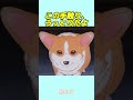 この手触り、うっとりだよ#おもしろ動画 #アニメ #面白集 #ドッキリ #面白い #ジブリ #笑える #可愛い #犬動画 #犬 #犬のいる暮らし