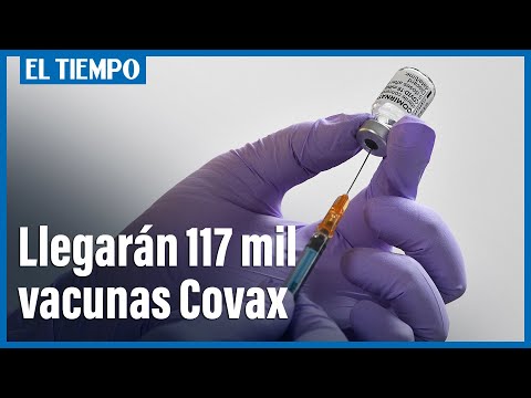El lunes llegan 117 mil dosis de vacunas Pfizer por mecanismo Covax