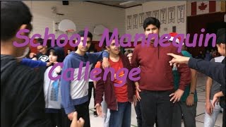 ULTIMATE SCHOOL MANNEQUIN CHALLENGE