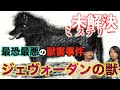 【未解決ミステリー】最悪の獣害事件『ジェヴォーダンの獣』の正体とは一体！？獣の正体を復元！？【ジェヴォーダンの獣】