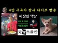 짜장면 먹방