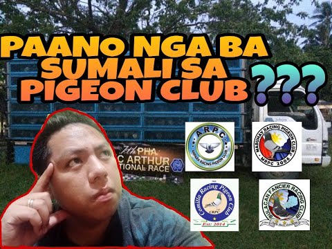 Video: Paano Sumali Sa Isang Cat Club Sa