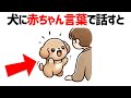 必見！【犬の雑学18選】犬好きなら誰もが共感する犬の不思議な行動に隠された秘密 #雑学 #豆知識 #トリビア