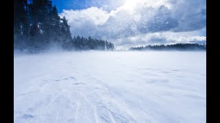 Братья Прилуцкие Метелица(шикарное исполнение)🎸🪗