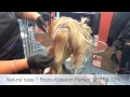 Verve Hair TV Wella Instamatic Pink Dream