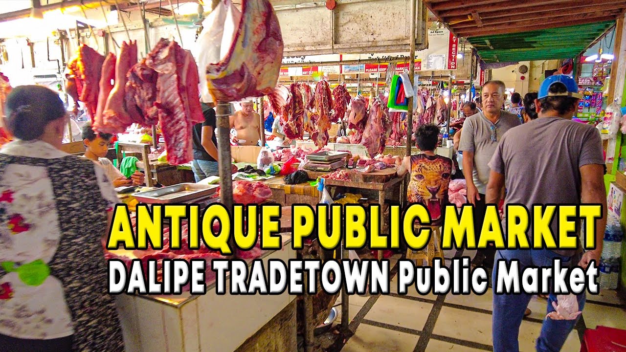 Exploring the Heart of ANTIQUE PROVINCE A Tour of the DALIPE Public