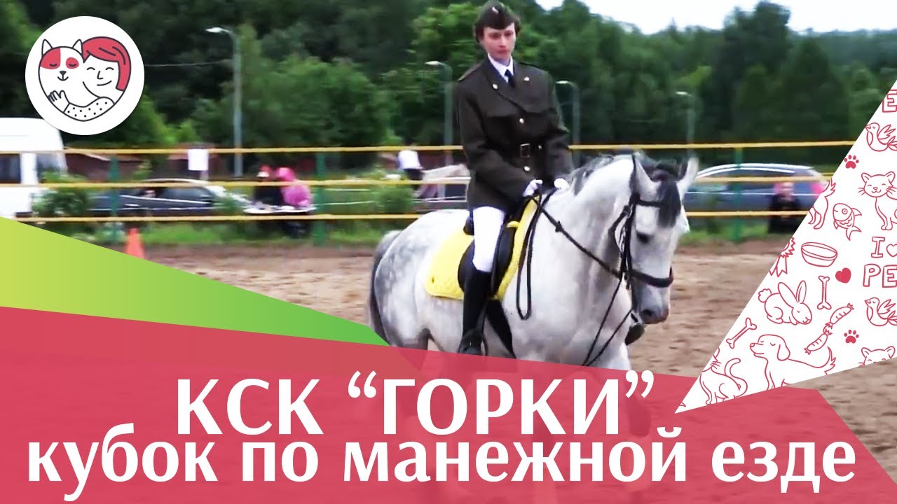 питомцы кукол лол Летний кубок КСК Горки по манежной езде КЮР часть 33 на ilikepet