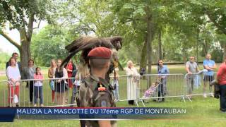 Malizia mascotte du 17ème RGP de Montauban