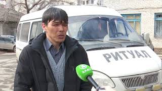 Наказали хозяина гуляющих лошадей на кладбище Наказали хозяина гуляющих лошадей на кладбище