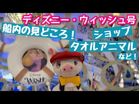 ディズニー・ウィッシュ号🚢2025年新グッズ＆WISH限定品❣️優雅に