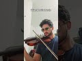 #violino #música