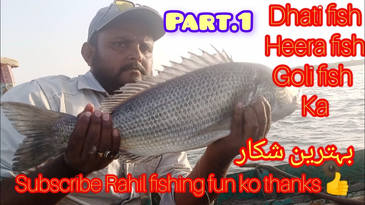 Rahil Karachi mangrove fishing harjina vip heera goli dating fish #karachi fishing # ...
