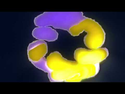 Haken- Messiah Complex v: Ectobius Rex Music Visualizer