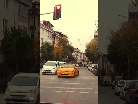 the full meaning of traffic