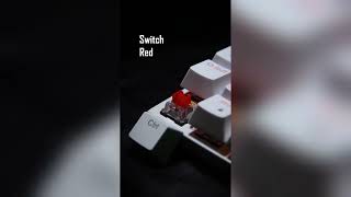 Kit Halion Damon Sw Red Ha-863C