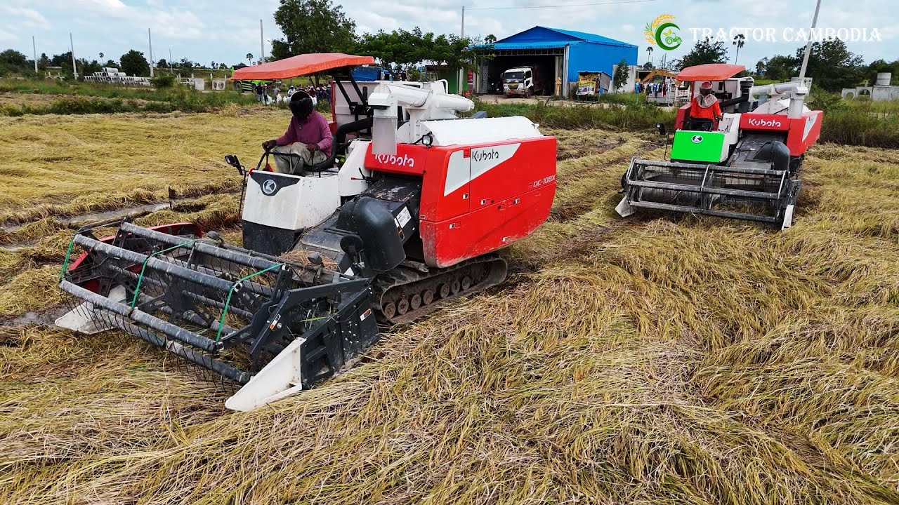 ម៉ាស៊ីនច្រូតស្រូវ Kubota DC 108X Harvester Working Skills At Farm Harvest Rice Cutting Machinery
