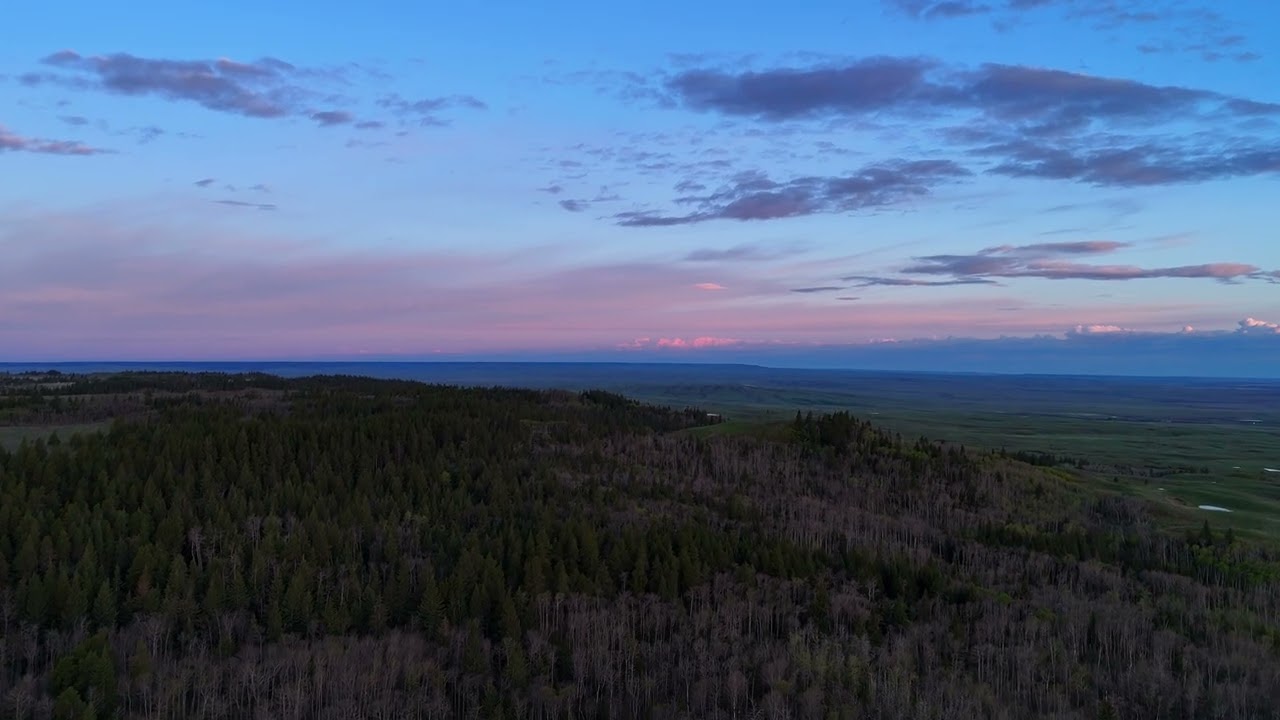 CYPRESS HILLS CENTRE BLOCK!