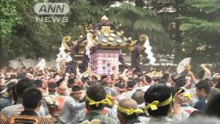 浅草・三社祭　「宮出し」でクライマックス（10/05/16）