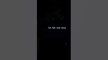 سورة عبس بصوت طارق محمد ♥️#القرآن الكريم #سورة عبس