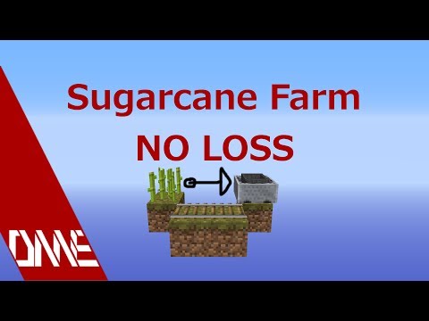 Astounding NO LOSS Sugarcane Farm Concept