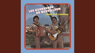 Video thumbnail of "Los Guerreros de Nuevo León - Loco de Amor"