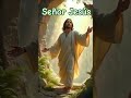 #señorjesús #jesus #jesús #cristo #jesuscristo #reflexion #bendicion #palabradios #mensaje #dios #fe