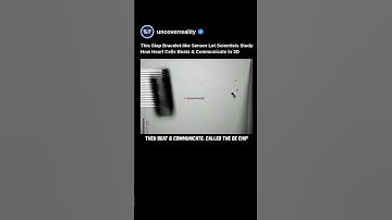 Slap Bracelet-like Sensor Reveals How Heart Cells Beats & Communicate in 3D #tech #medical #shorts