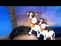 Cow pageant returns to Towanda after 100 years