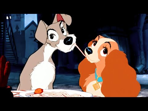 رحلة رومانسية بتجمع بين كلبة مدللة وكلب شوارع بالرغم من اختلاف بيئه لكل واحد فيهم