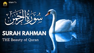 Surah Ar Rahman سورة الرحمن// Relaxing Quran recitation// IslamTv577.