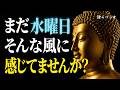 【ブッダの教え】週の真ん中で心が重い時どうする？５つの智慧