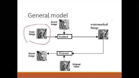 CS460 Network security: Digital Watermark Part 1 Dated 28 April 2020 By Malek Barhoush
