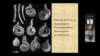 Michael Kaminski: The Early Evolution of Multichambered Foraminifera - new results from Saudi Arabia