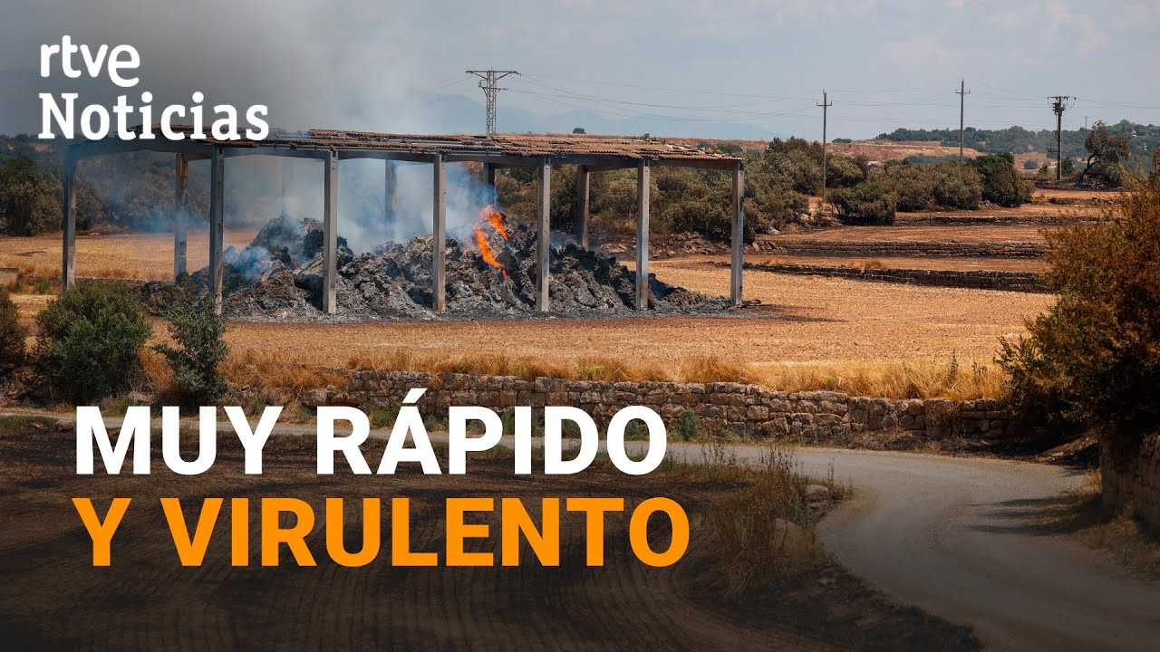 INCENDIO LLEIDA: Una CHISPA de una SEGADORA, posible CAUSA del FUEGO, y dos BOMBEROS HERIDOS | RTVE