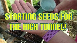 Starting Seeds for the High Tunnel