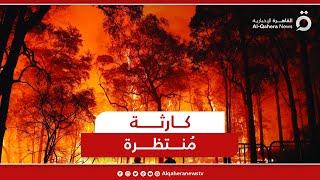 د. دوميط كامل رئيس حزب البيئة العالمي محذرًا: الـ 50 سنة القادمة تحمل كارثة كبرى