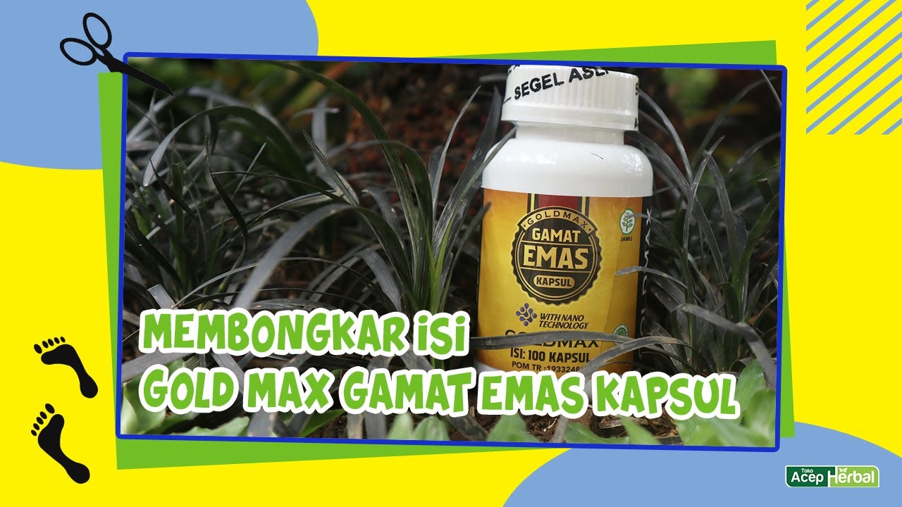 Terbongkar Juga GUYS!! Ternyata Seperti Ini Isi GOLD MAX Gamat Emas